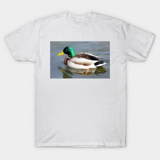 Duck! T-Shirt